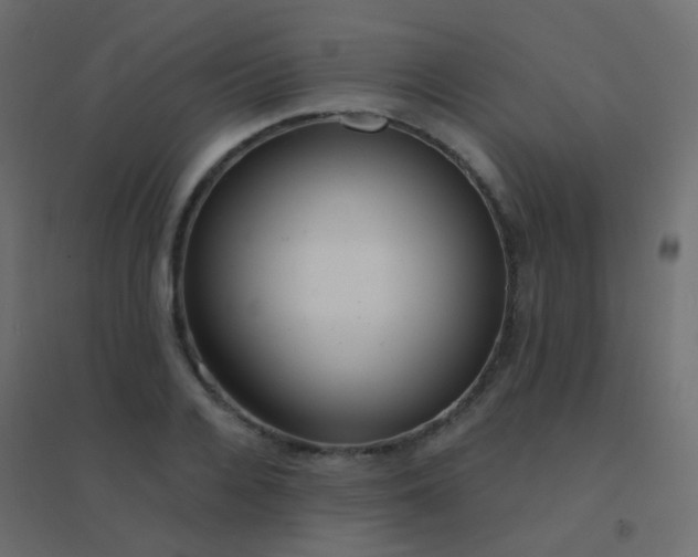 X0000094920936200712131511