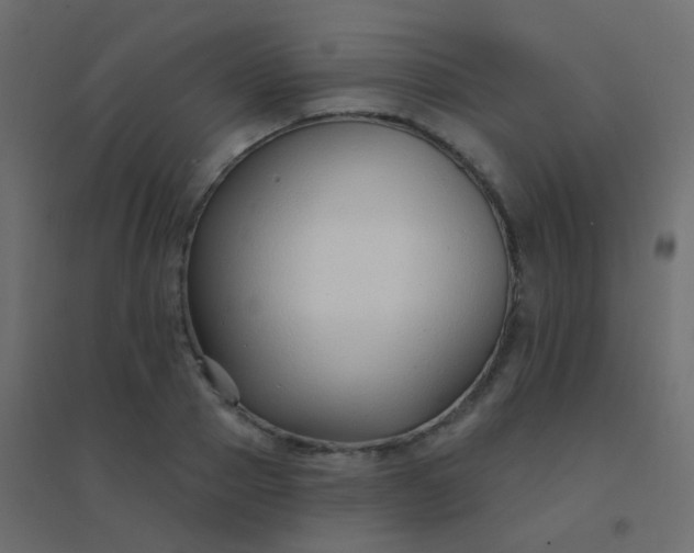 X0000094920937200712131511