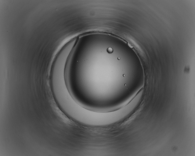 X0000094920940200712131511