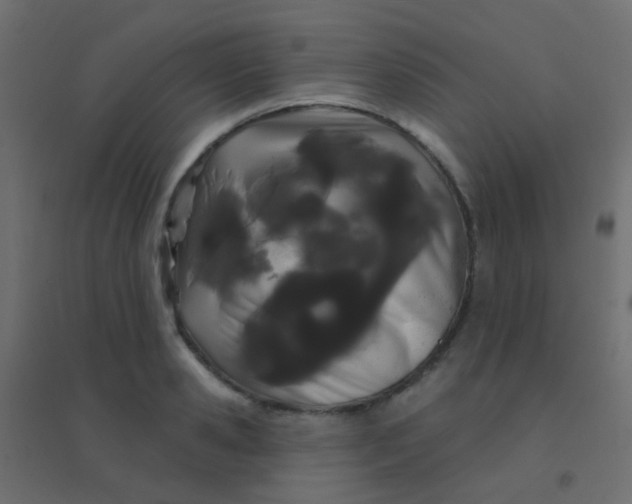 X0000094920941200712131511