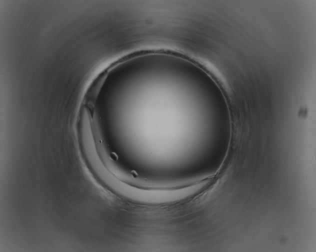 X0000094920943200712131511