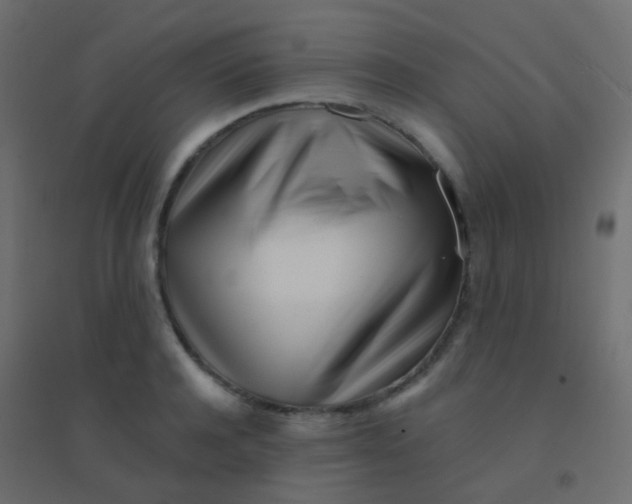 X0000094920944200712131511