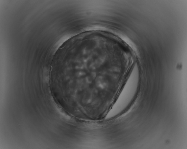 X0000094920945200712131511