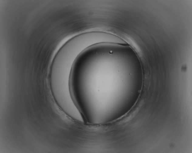 X0000094920948200712131511