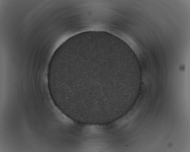 X0000094920950200712131512