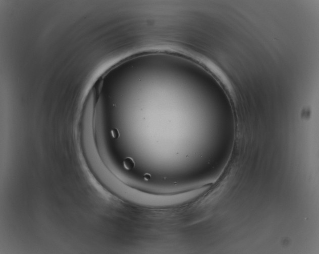 X0000094920951200712131512