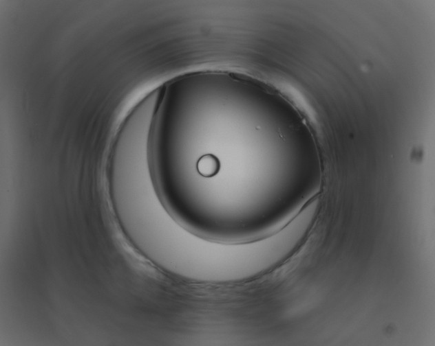 X0000094920952200712131512