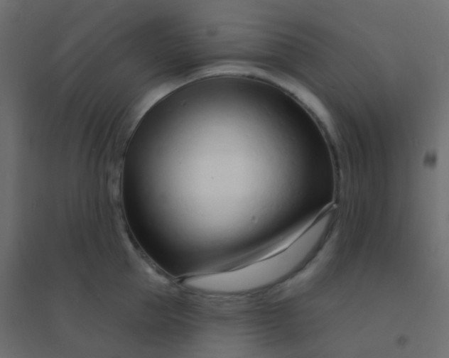 X0000094920953200712131512