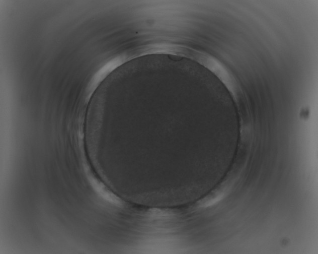 X0000094920954200712131512