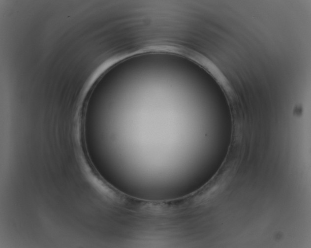 X0000094920955200712131512