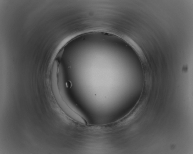 X0000094920956200712131512