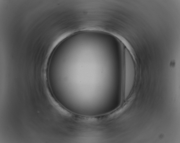 X0000094920957200712131512