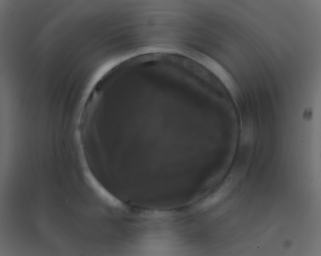 X0000094920958200712131512