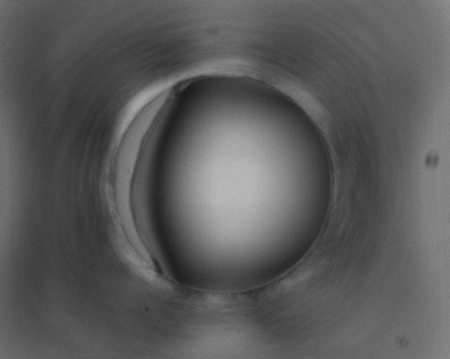 X0000094920960200712131512