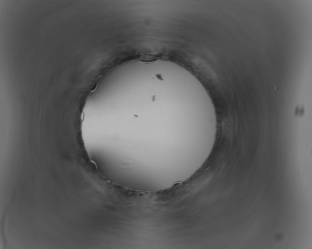 X0000094920961200712131511