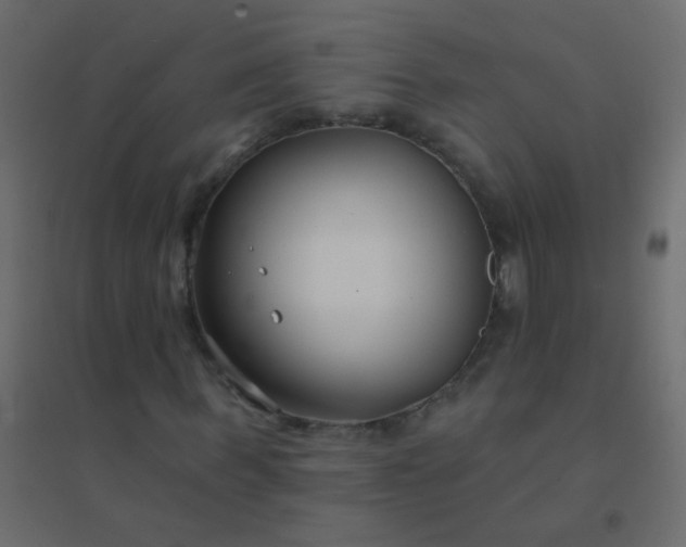 X0000094920963200712131511