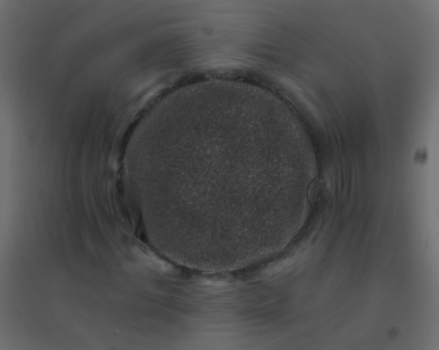 X0000094920964200712131511