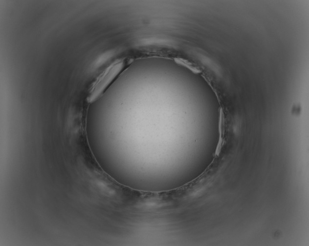 X0000094920965200712131511