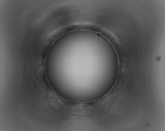 X0000094920966200712131511