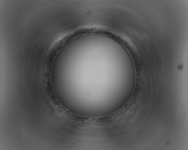 X0000094920967200712131511