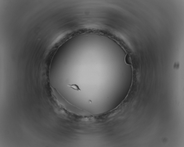 X0000094920968200712131511