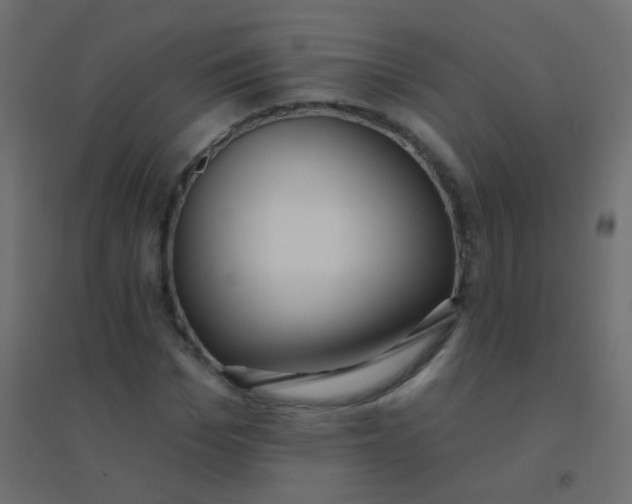 X0000094920969200712131511