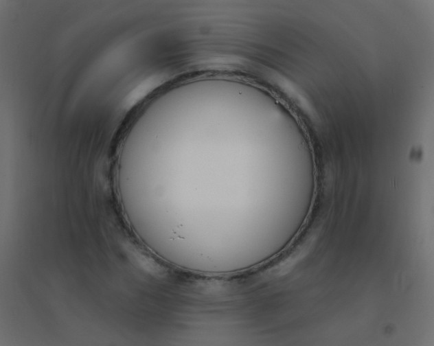 X0000094920970200712131511