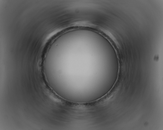 X0000094920971200712131511