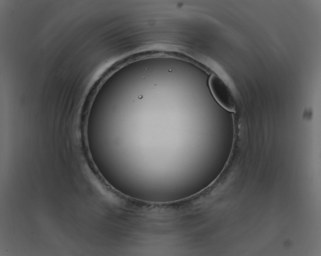 X0000094920972200712131511