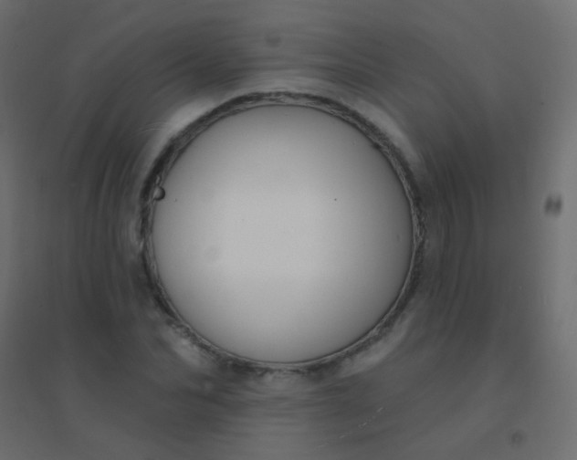 X0000094920974200712131511