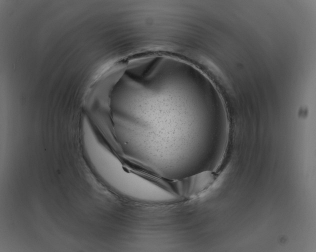 X0000094920977200712131511