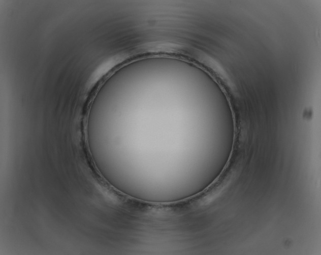 X0000094920978200712131511