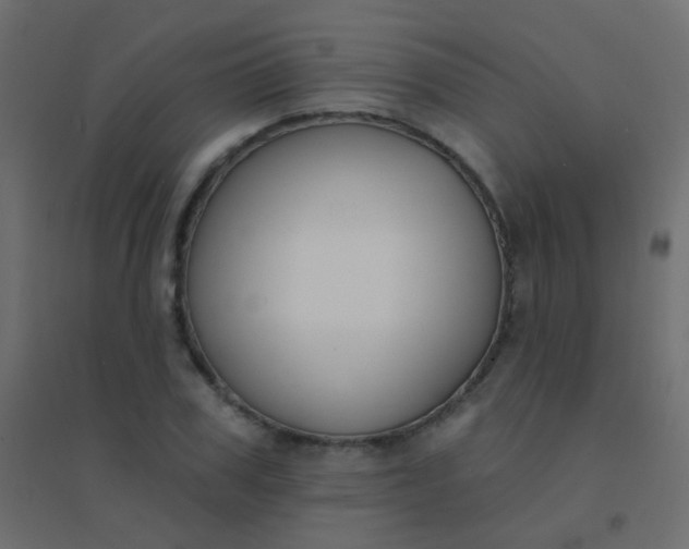 X0000094920979200712131511