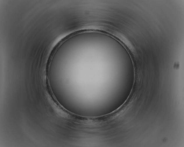 X0000094920980200712131511