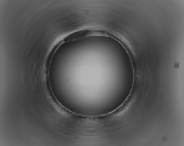 X0000094920981200712131511