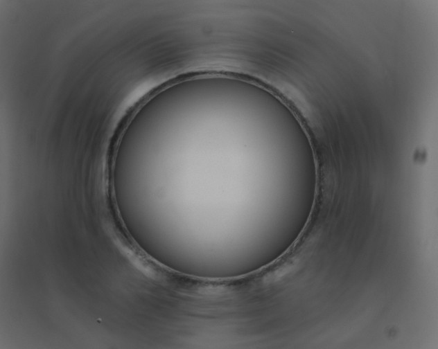 X0000094920982200712131511