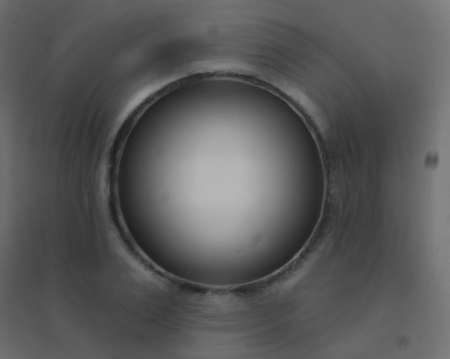 X0000094920983200712131511