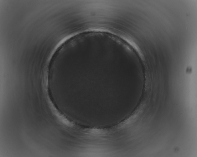 X0000094920984200712131511