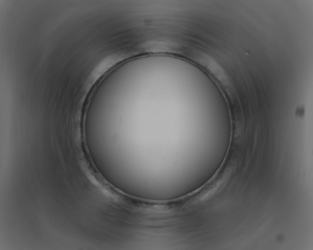 X0000094920986200712131511