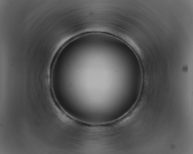 X0000094920988200712131511