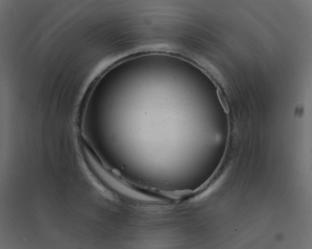 X0000094920989200712131511