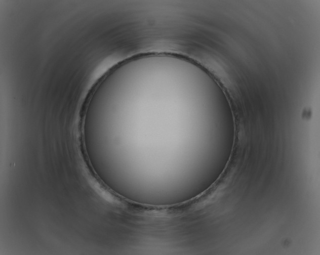 X0000094920990200712131511