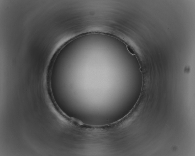 X0000094920991200712131511