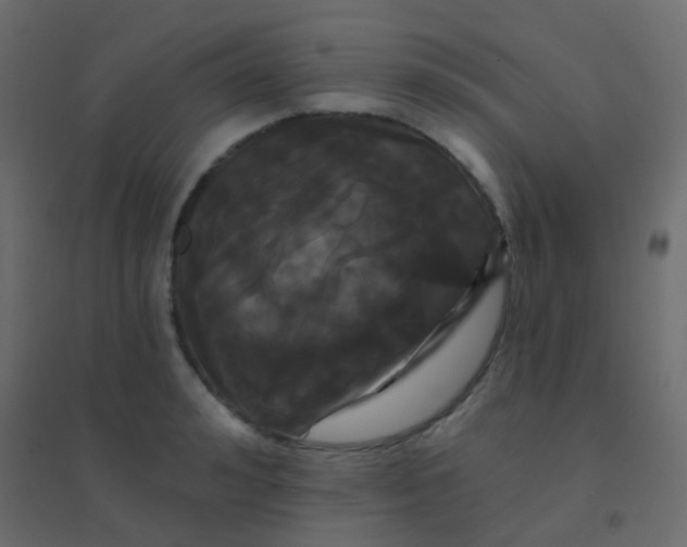 X0000094920992200712131511