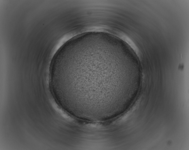 X0000094920994200712131511