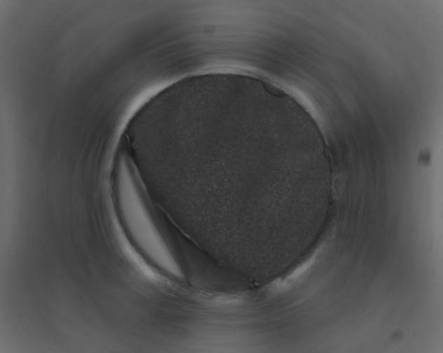 X0000094920995200712131511