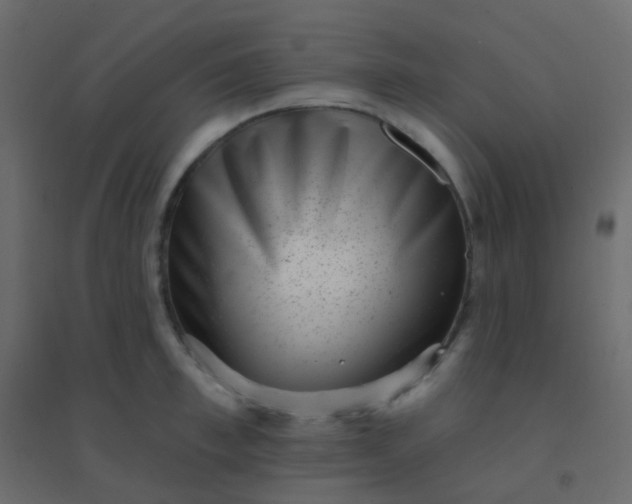 X0000094920997200712131510