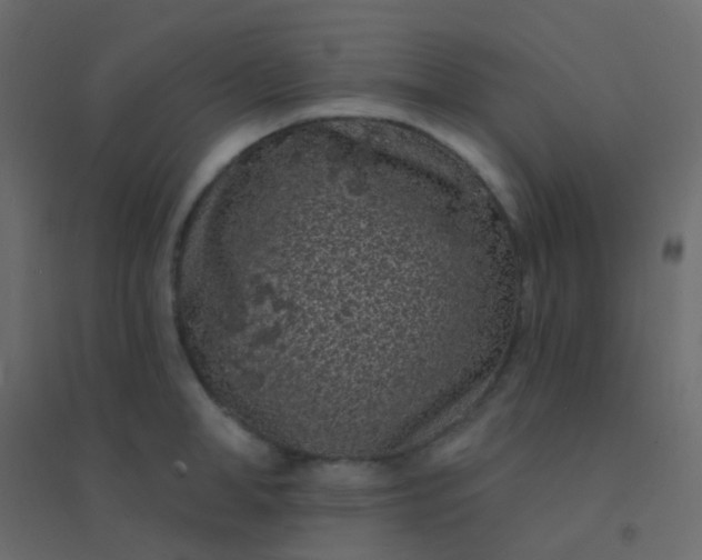 X0000094920998200712131510