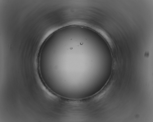 X0000094920999200712131510