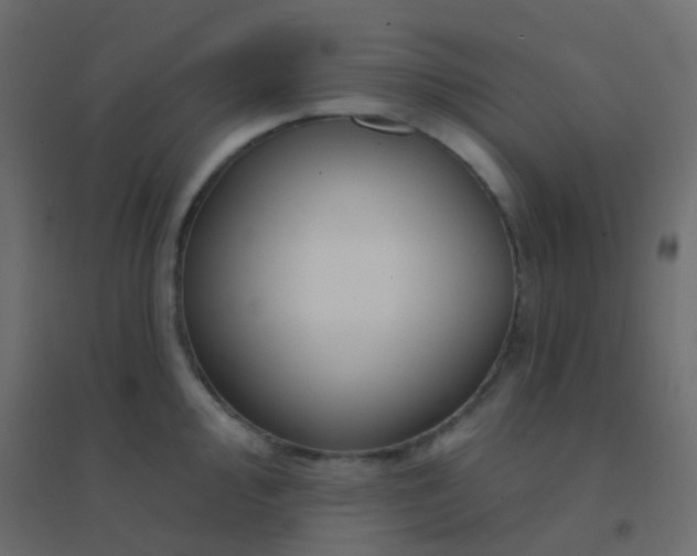 X0000094921000200712131510